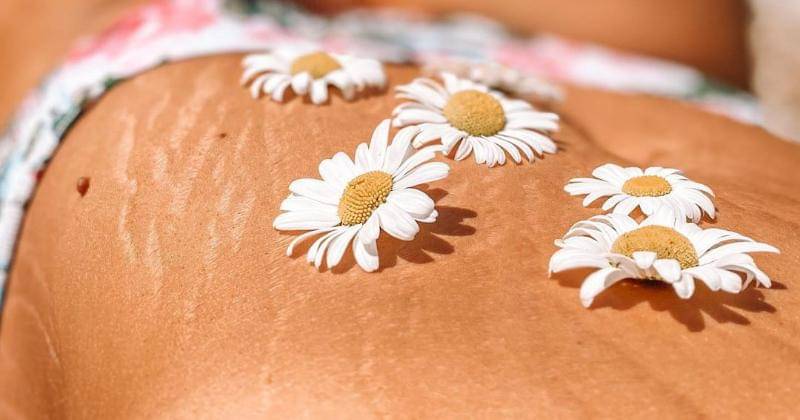 Instagram.com/lively.liz