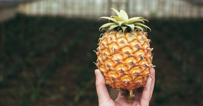 Pexels/Marta Ortigosa