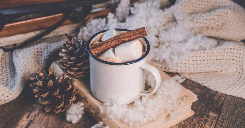 pexels/ylanite koppens