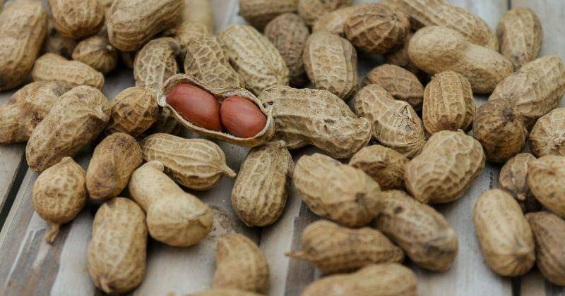 pexels/shatta pilabut