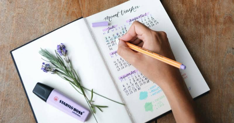 Unsplash/Estee Janssens