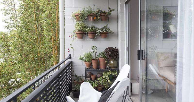 gardeninsta.com/Matthew Williams