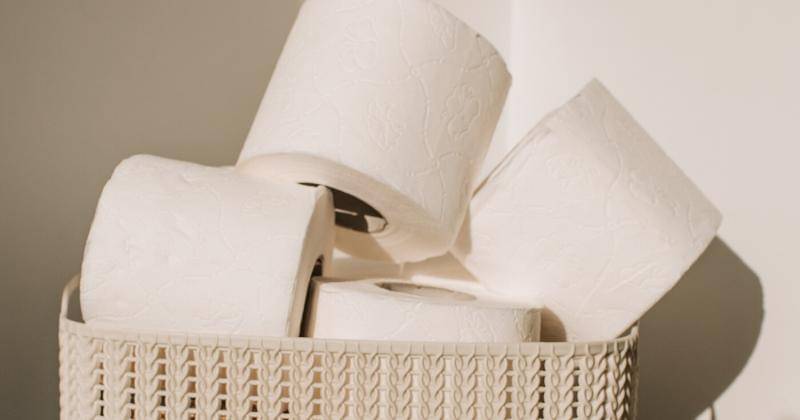 Pexels/Vlada Karpovich