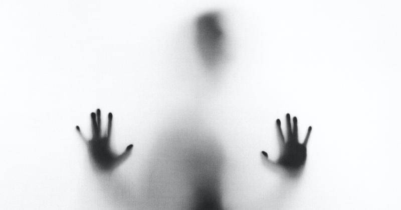 Unsplash/Stefano Pollio