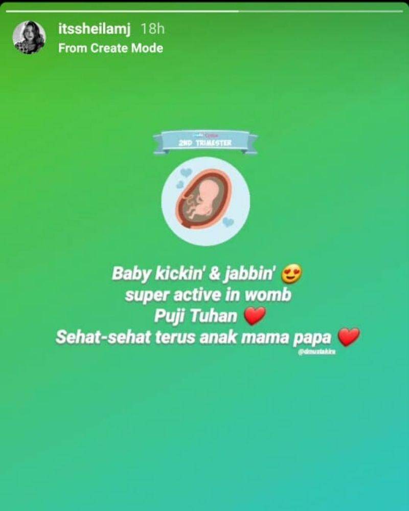 Instagram.com/itssheilamj