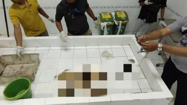 IDN Times/Yuda Almerio