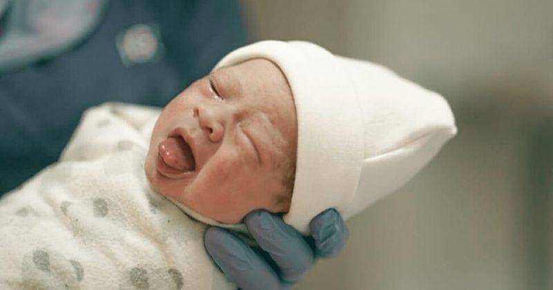 Instagram.com/marcelldarwin