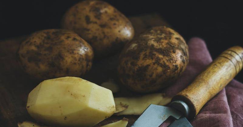 Unsplash/Eiliv-Sonas Aceron