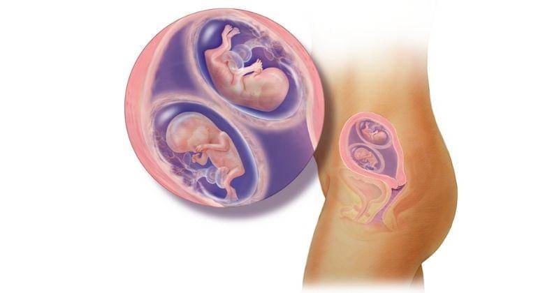 babycenter.com/Peg Gerrity