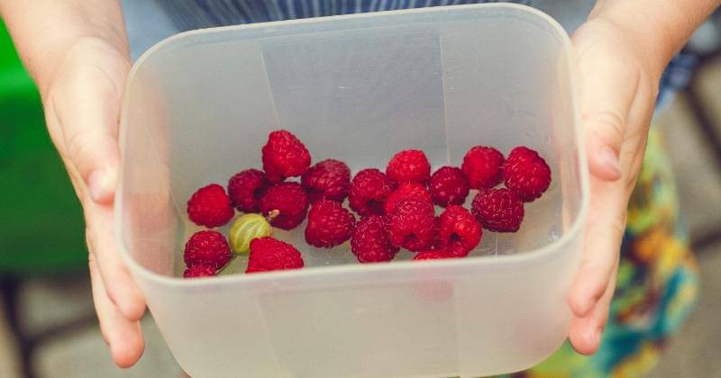 Unsplash/Markus Spiske