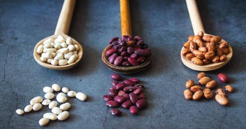 Unsplash/Tijana Drndarski