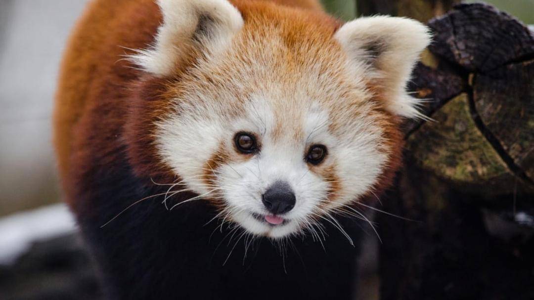 blogs.scientificamerican.com