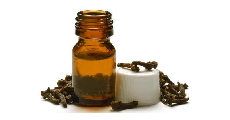 essentialoilscompany.com