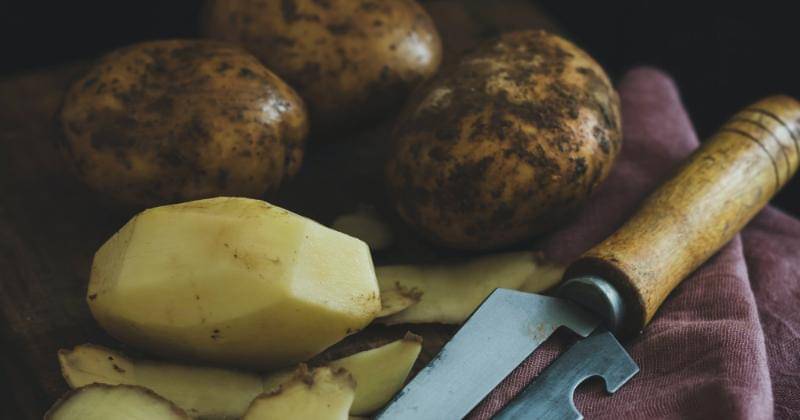 Unsplash/Eiliv-Sonas Aceron