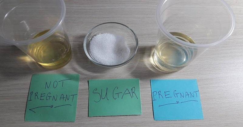 Youtube/uncencoredpregnancytest