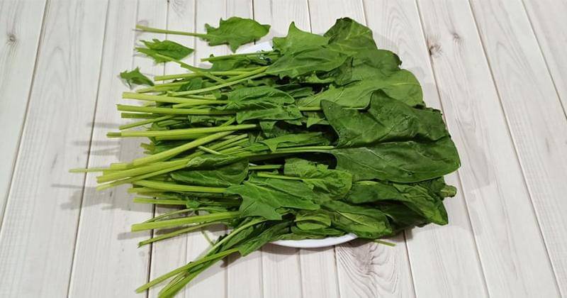 Popmama.com/Novy Agrina