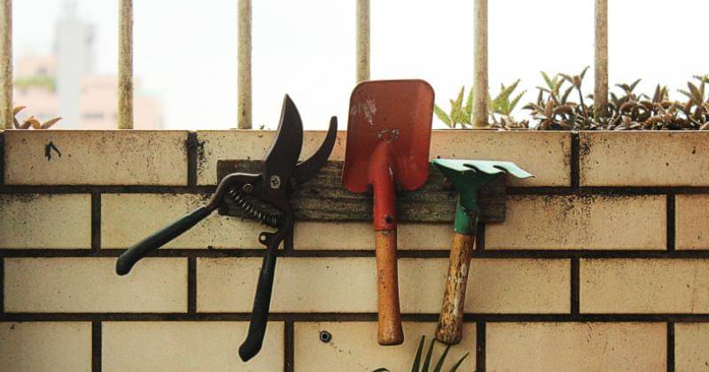 Unsplash/David Rangel