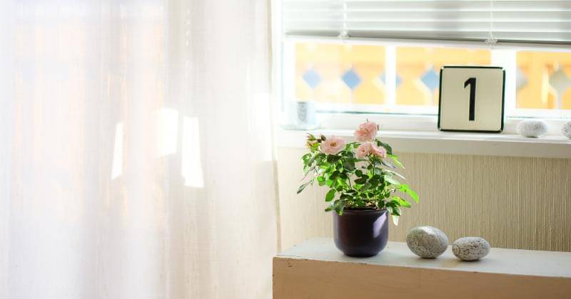 Unsplash/Steinar Engeland