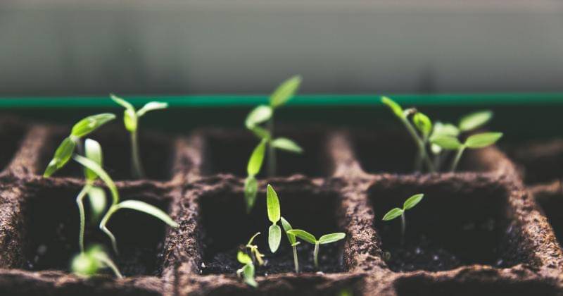 Unsplash/Markus Spiske