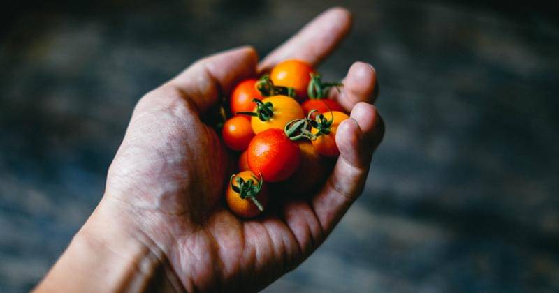 Unsplash/Chinh Le Duc