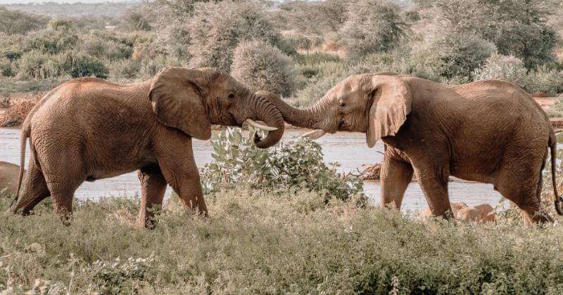 Unsplash/Emma Louisa