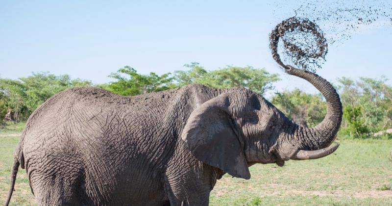 Unsplash/Andrew Rice