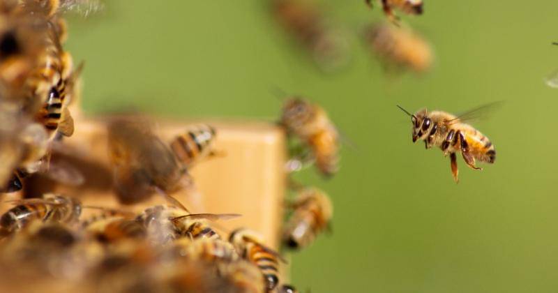 Unsplash/Damien TUPINIER