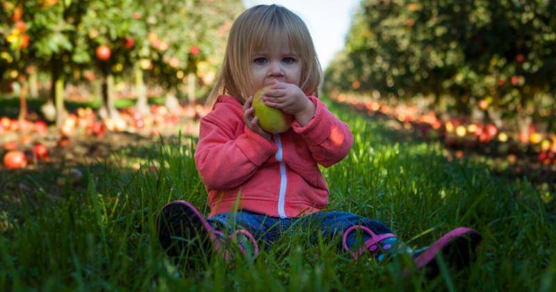 Unsplash/Patrick Fore