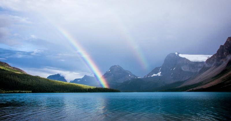 Unsplash/David Brooke Martin