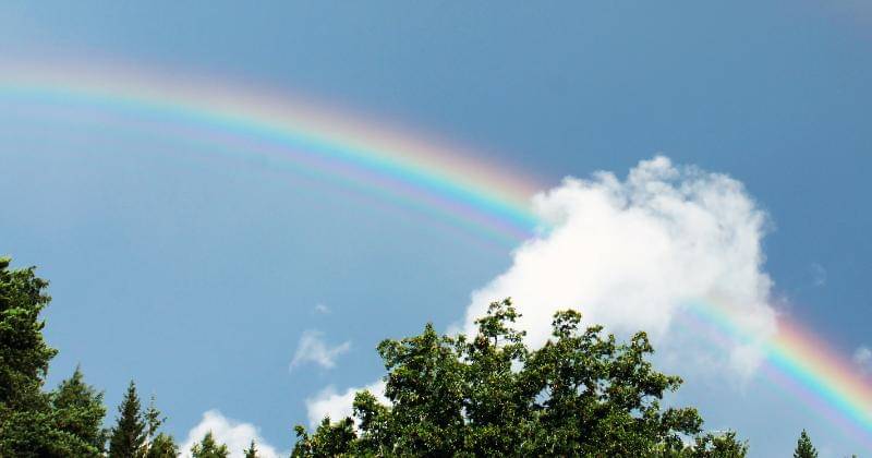 Unsplash/Harald Arlander