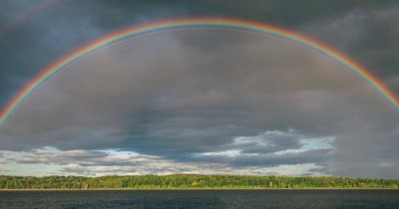 Unsplash/Jesse Gardner