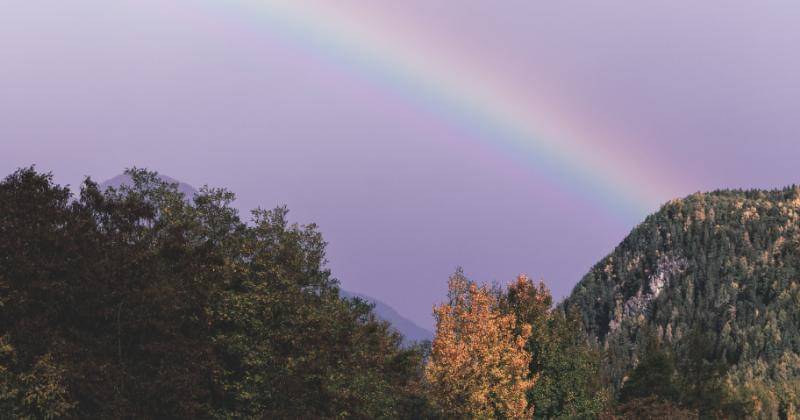 Pexels/Eberhard Grossgasteiger