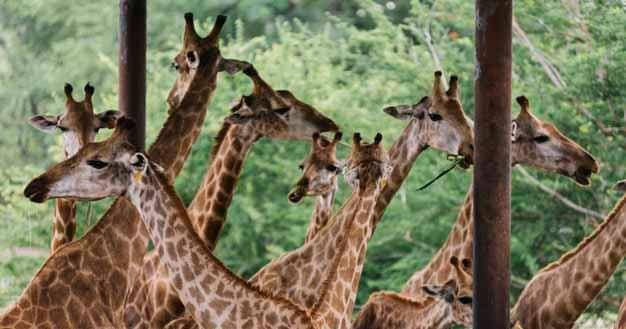 Freepik/Rawpixel-com