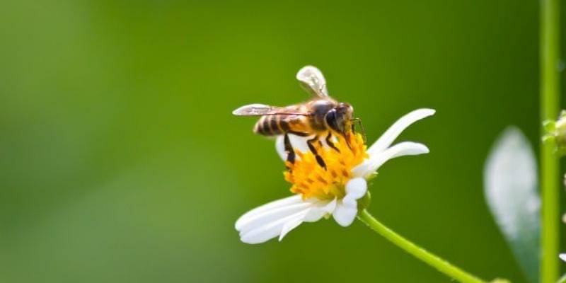 Freepik/zirconicusso 