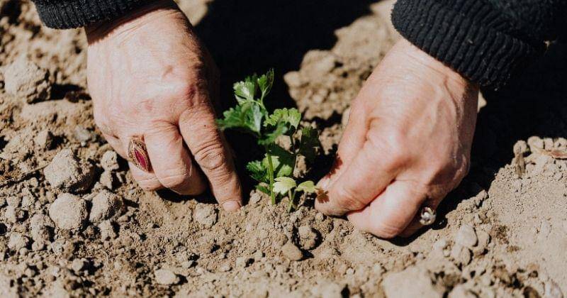 Pexels/Karolina Gabowska