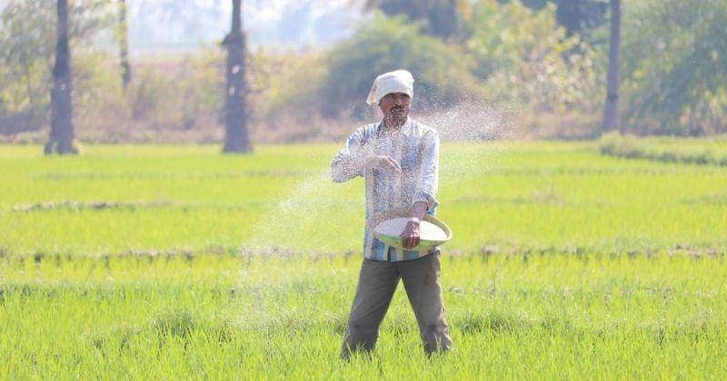 Pexels/Vinar Kumar Bairi