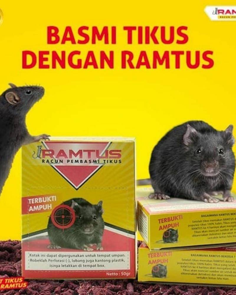 Instagram/Ramtus.co.id