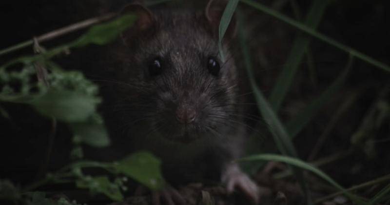 Unsplash/Simon Kuznetsov