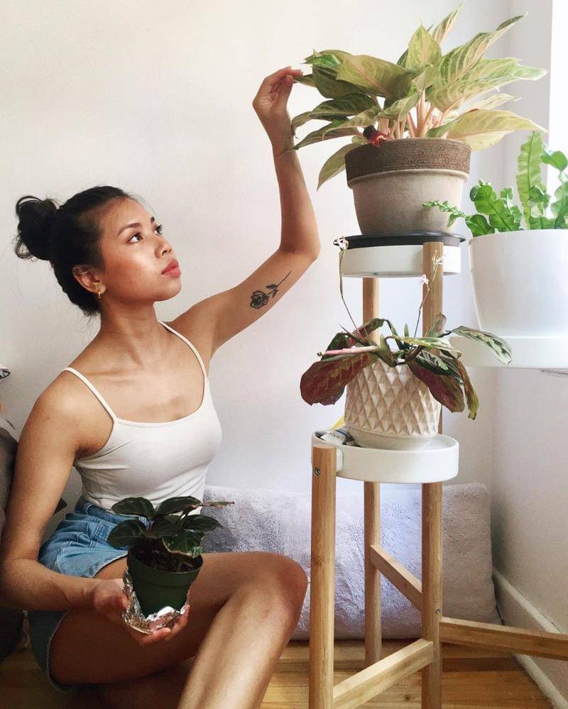 instagram/fairyfolia