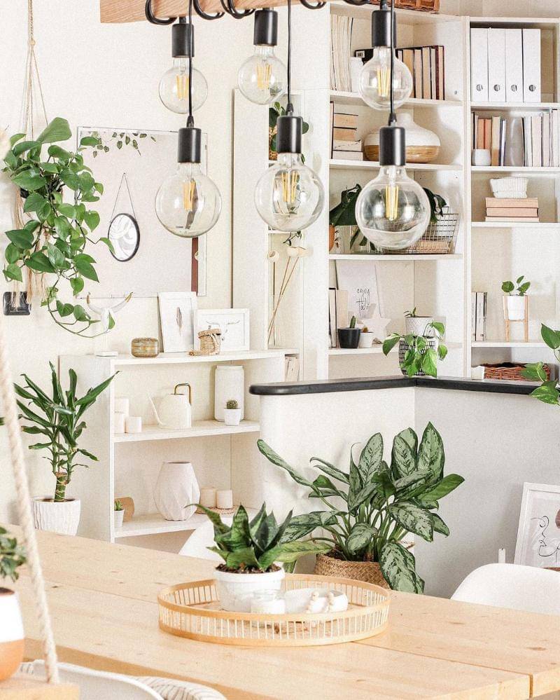 instagram/thewhitehoneyhome