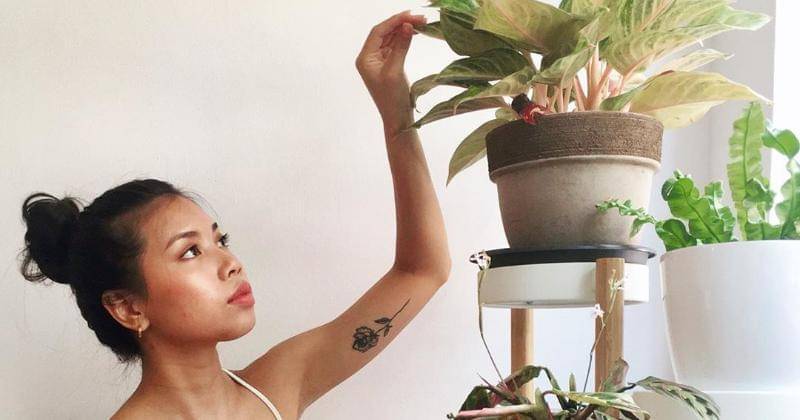 instagram/fairyfolia