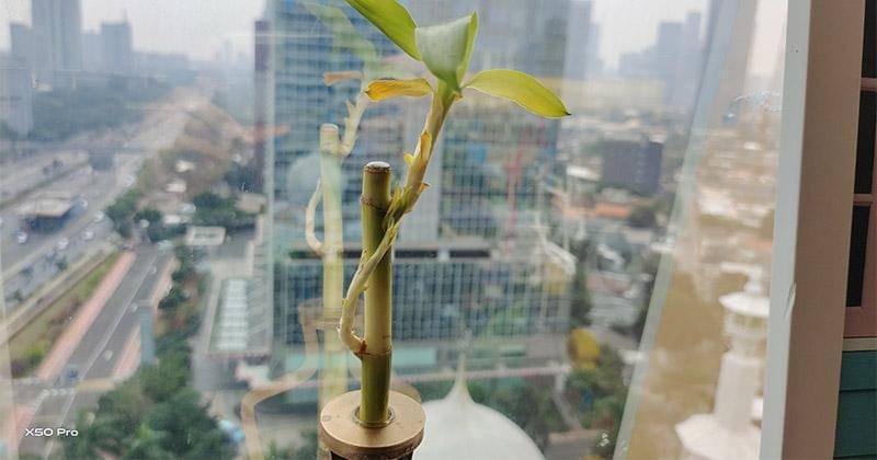 This article supported by vivo as Official Journalist Smartphone Partner IDN Media - Popmama.com/Fx Dimas     