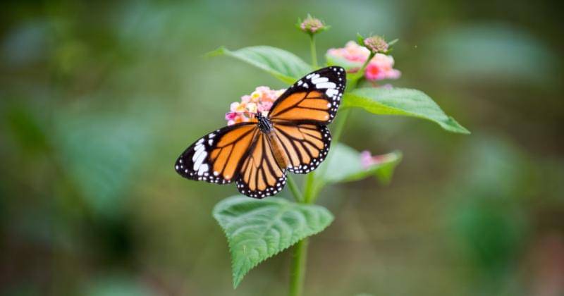 Unsplash/Daniel Klein