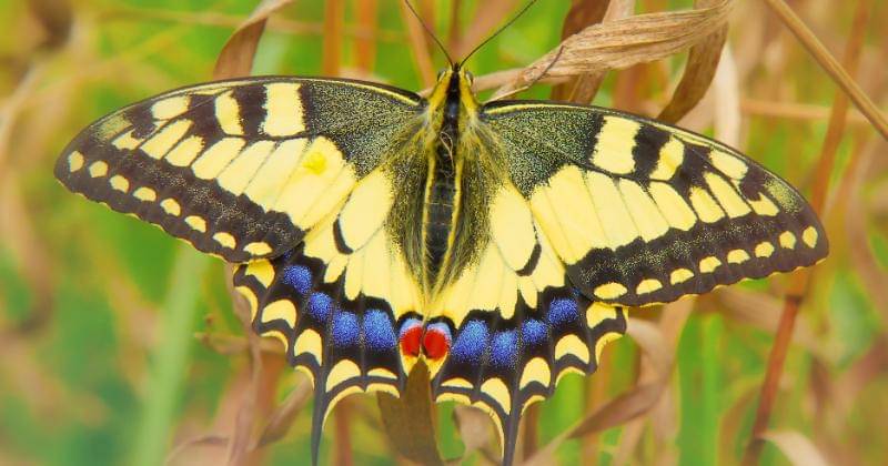 Unsplash/Krzysztof Niewolny