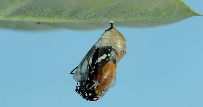 Unsplash/Bankim Desai