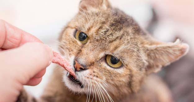 Freepik/User19739995