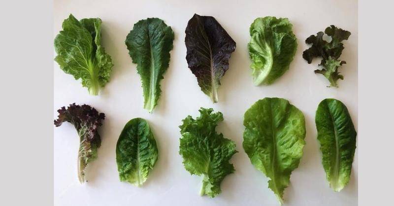 Instagram.com/weekofmenus