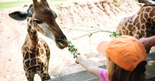 Freepik/Rawpixel-com