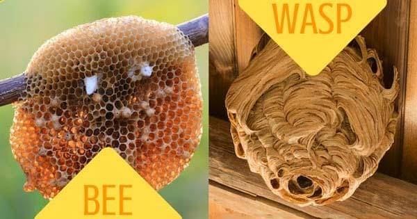 Assuredenvironments.com