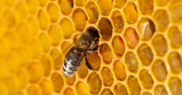 Freepik/Aleksrybalko